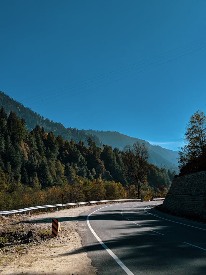 A picturesque highway winding through the forests and mountains of Manali, India on a clear day.