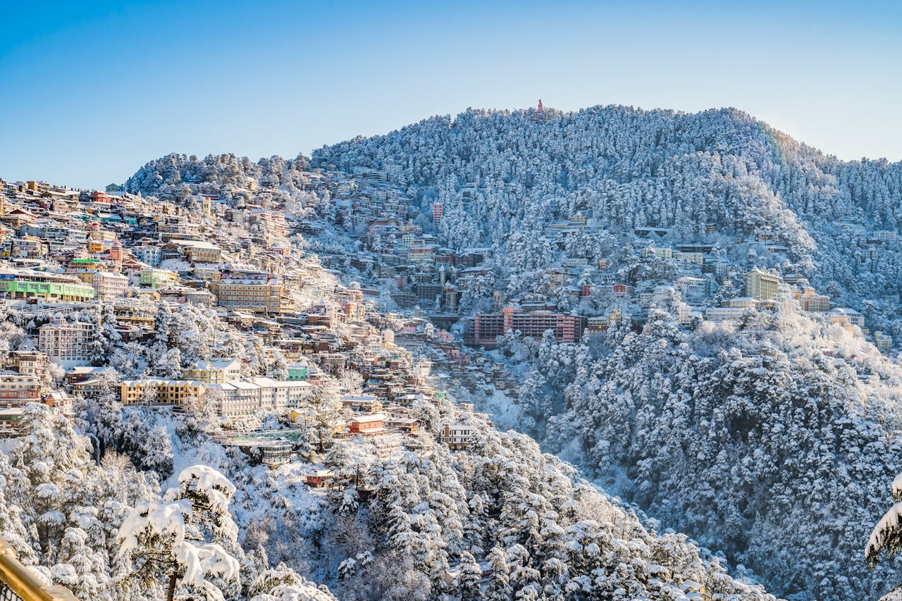 Services A scenic view of Shimla in winter, with snow-covered buildings and forests under a clear blue sky.