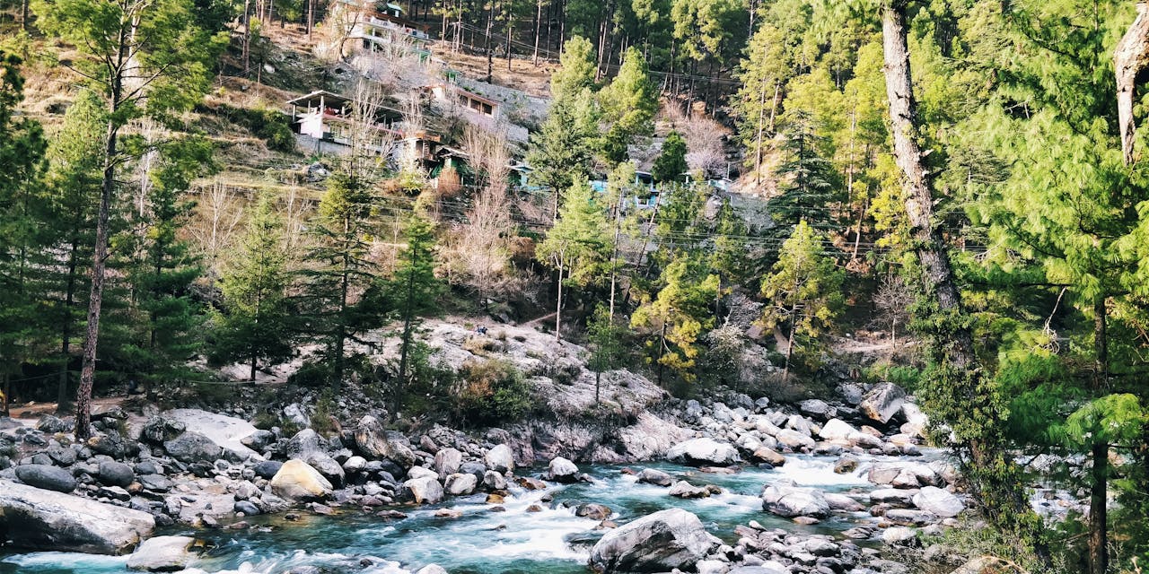 Services A vibrant river flowing through the forested hills of Kasol, India, showcasing nature's beauty.